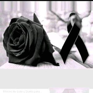 Meet your Posher, Noe